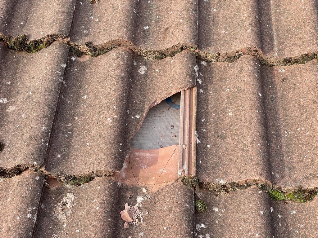 signs roof needs repairing