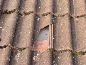 Signs Your Roof Needs Repair Before It Becomes a Bigger Problem